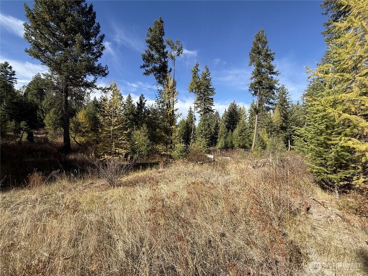 Property Photo: 9999 Shade Tree Lane WA 99166