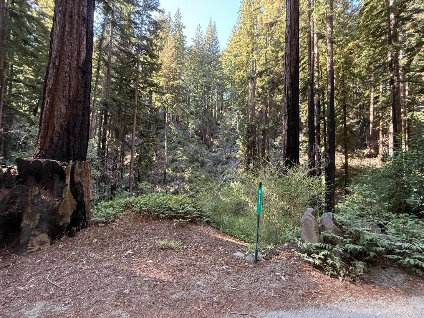 Property Photo: 449 Band Road CA 95006