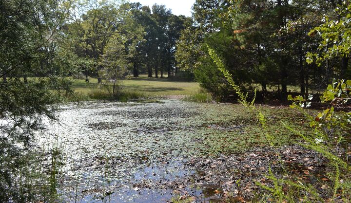 Property Photo:  000 000   Hwy 14  MO 65608 