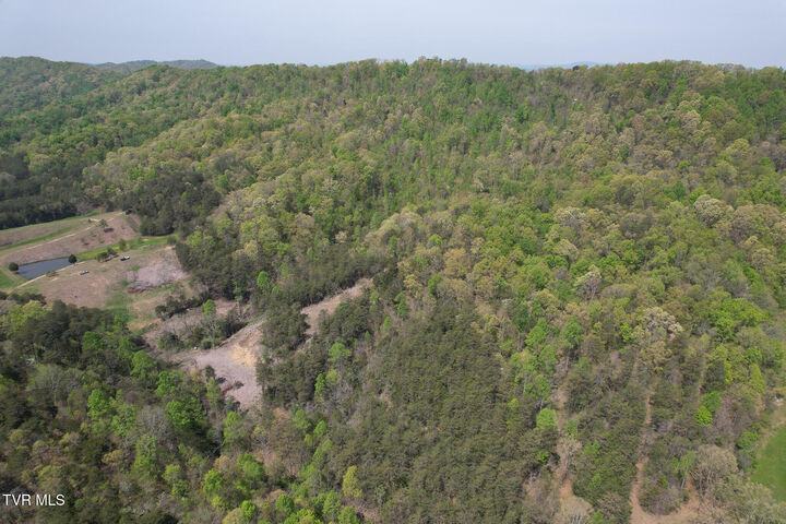 Property Photo:  0 Coy Bradley Lane  TN 37711 