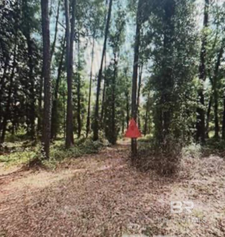 Property Photo:  0 W Woodhaven Dairy Road  AL 36576 