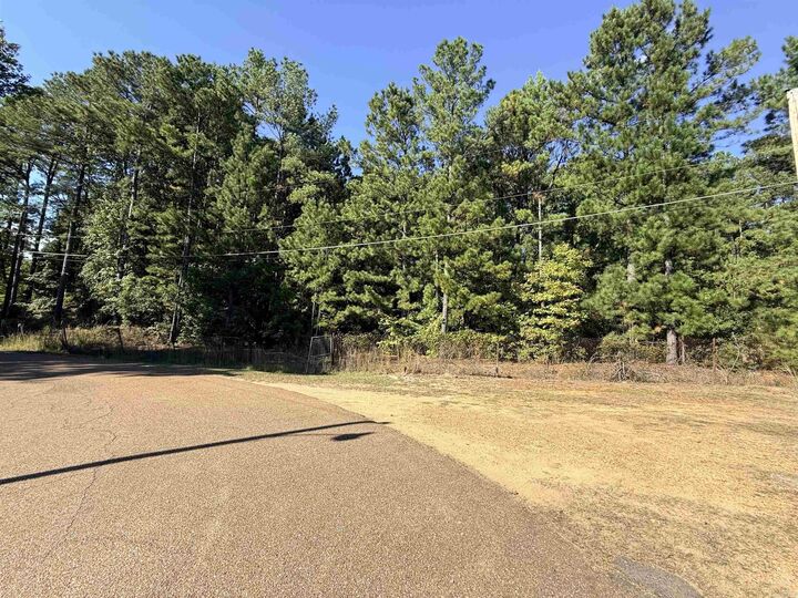 Lots 1-8 Cuba Circle  Camden AR 71701 photo