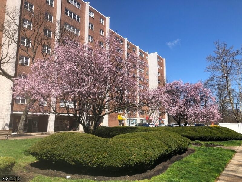 Property Photo: 39 E 39th St 617 NJ 07514