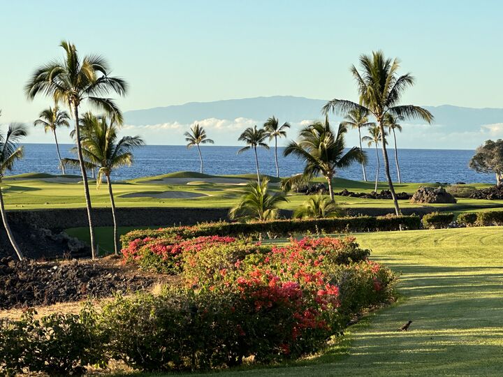 68-1050 Mauna Lani Point E103  Kamuela HI 96743 photo