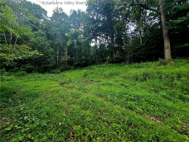 Property Photo: 79 Manistee Lane WV 25313
