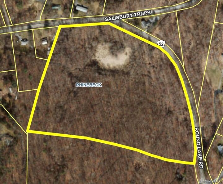 Property Photo:  Salisbury Turnpike  NY 12572 