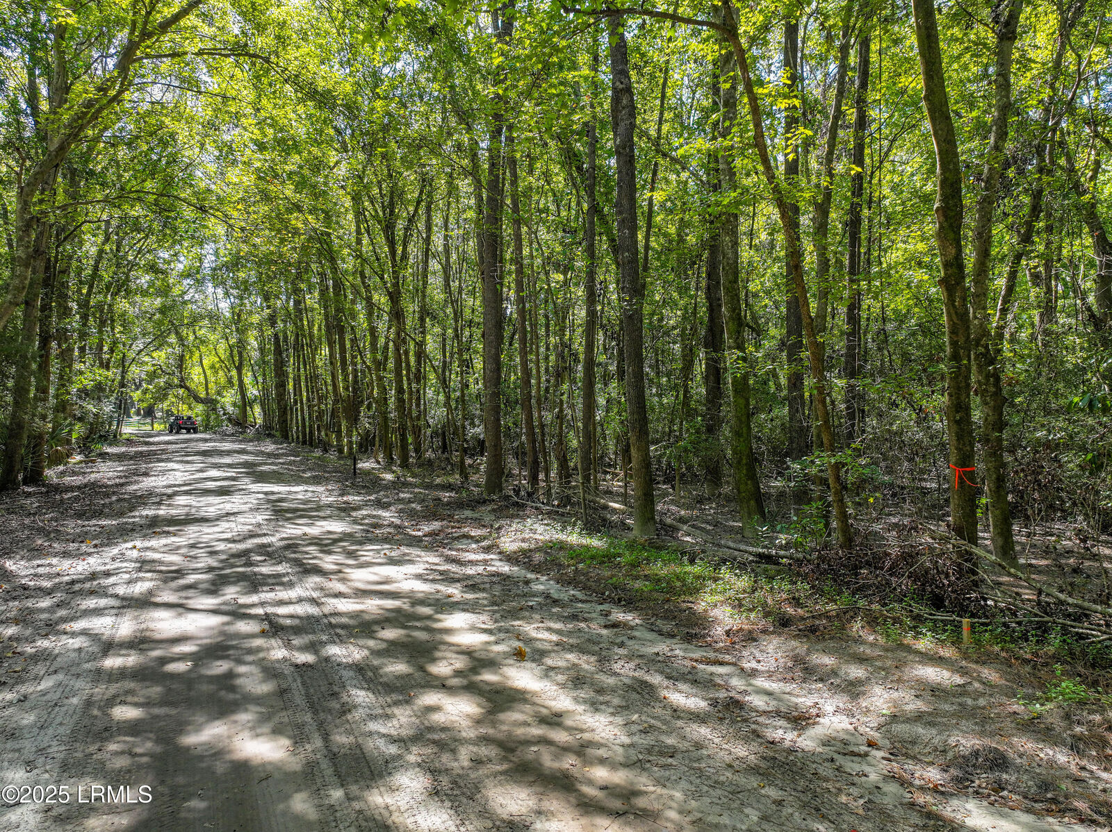 Property Photo:  50 Still Shadow Drive  SC 29906 
