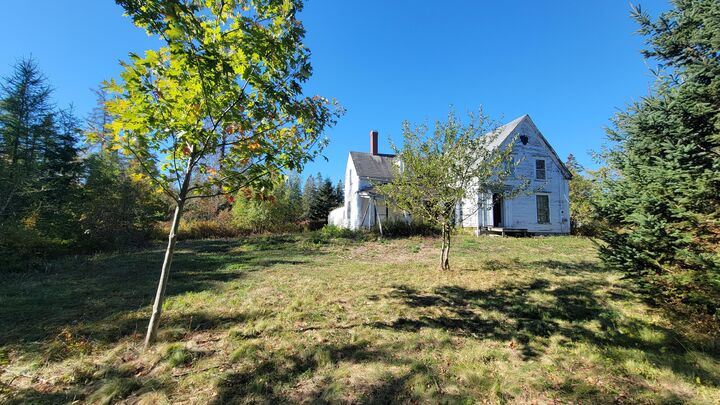 Property Photo:  173 Leighton Point Road  ME 04666