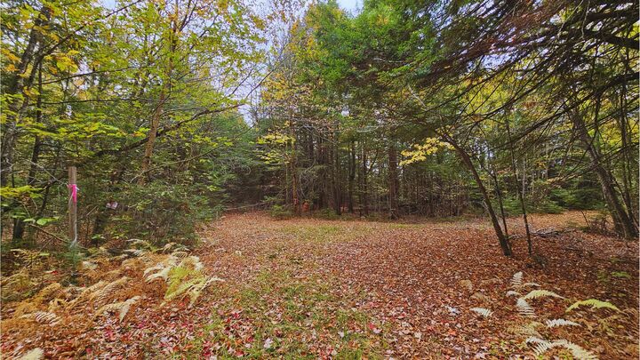 Property Photo:  009-007 Lilly Drive  ME 04953 