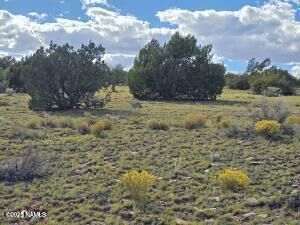 Property Photo:  6154 Fire Sky Trl Lot D  AZ 86046 