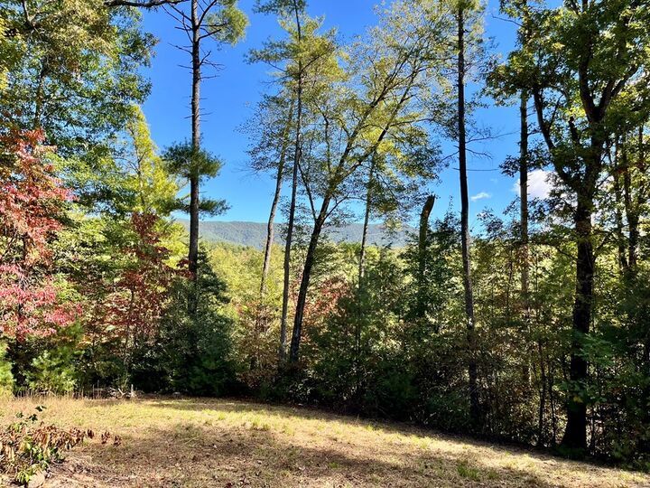 Property Photo:  12.64 Ac Harrison Sluder Road  GA 30540 