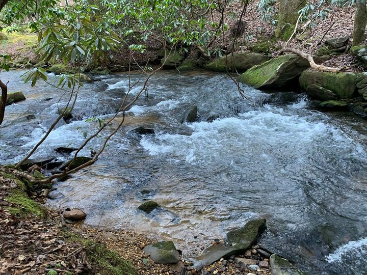 Property Photo: 12.64 Ac Harrison Sluder Road GA 30540