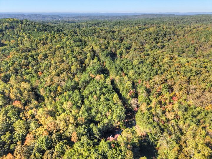 Property Photo: 523 Long Branch Road GA 30734