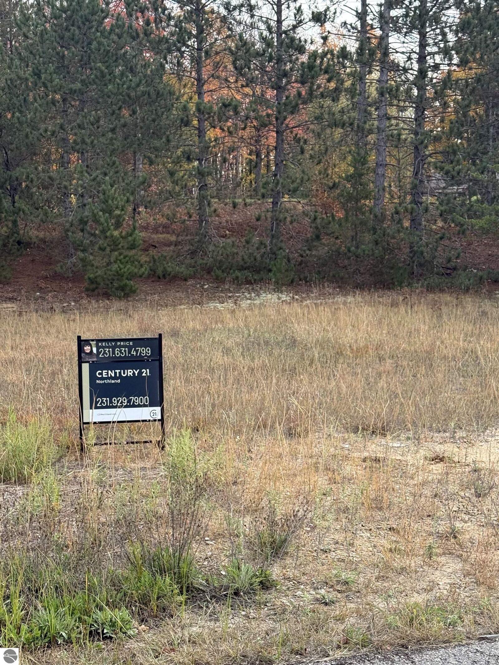Property Photo: 9534 Chippewa Drive MI 49659