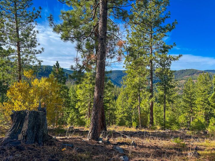 Property Photo:  Nhn Pats Knob Road  MT 59859 