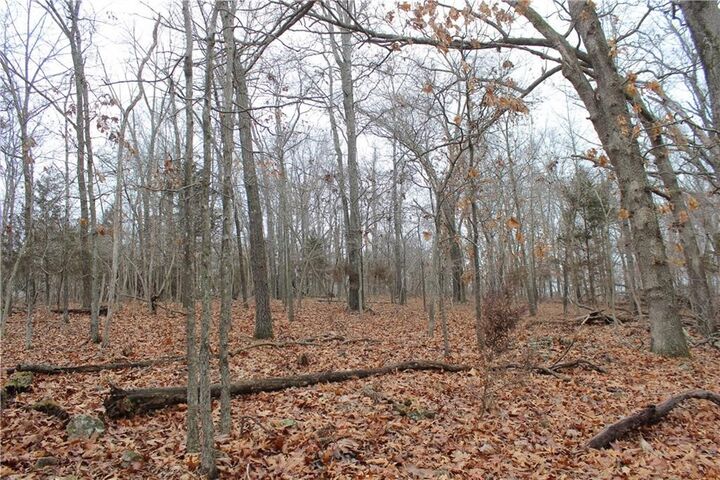 Property Photo:  Brooks Road  AR 72756 