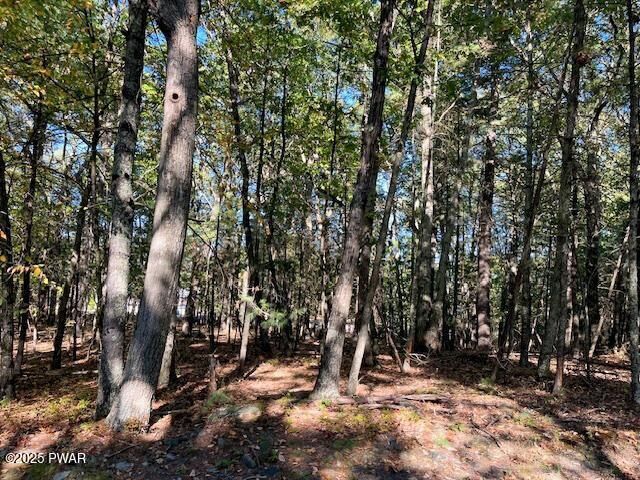 Property Photo:  116 Primrose (Lot 31A) Lane  PA 18328