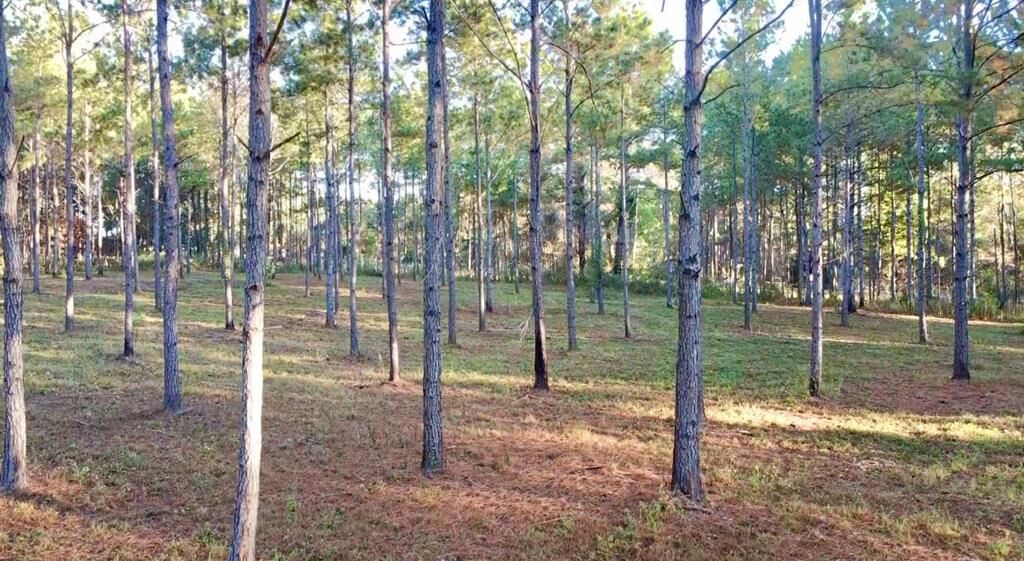 Property Photo:  00 Collins Road  GA 39828 