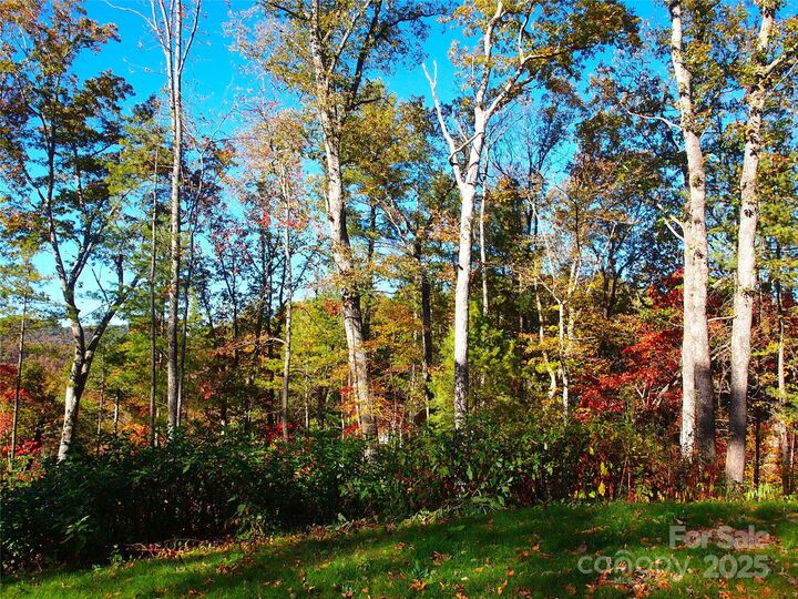 Property Photo:  188 Longue Vue Lane  NC 28716