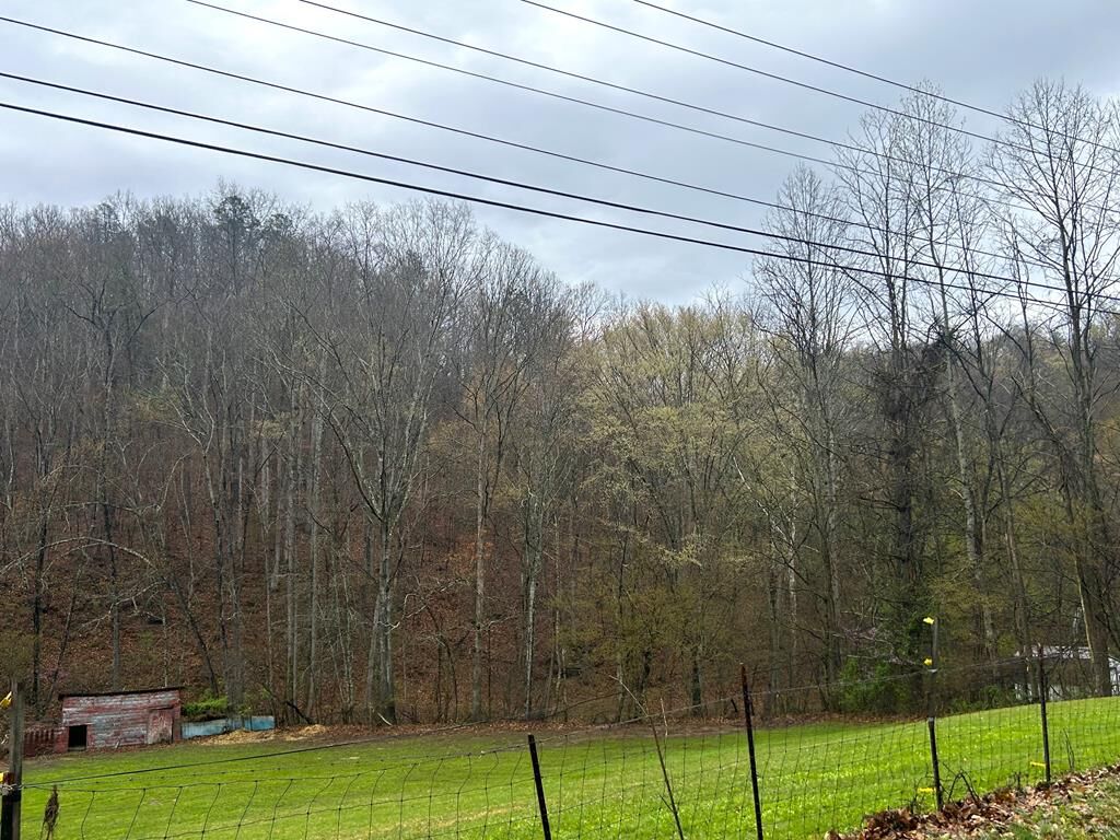 Property Photo:  0 Old Wiley Branch Road  KY 41254 