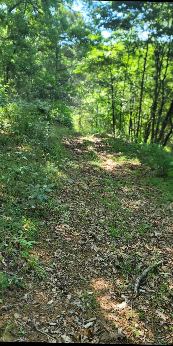 Property Photo: 1945 St. Rt. 3&12 WV 25951