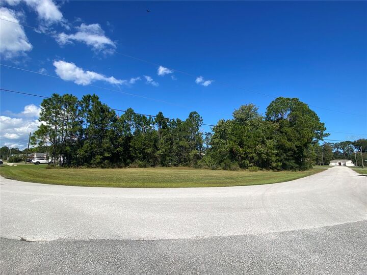Property Photo:  94 Birchwood Drive  FL 32137