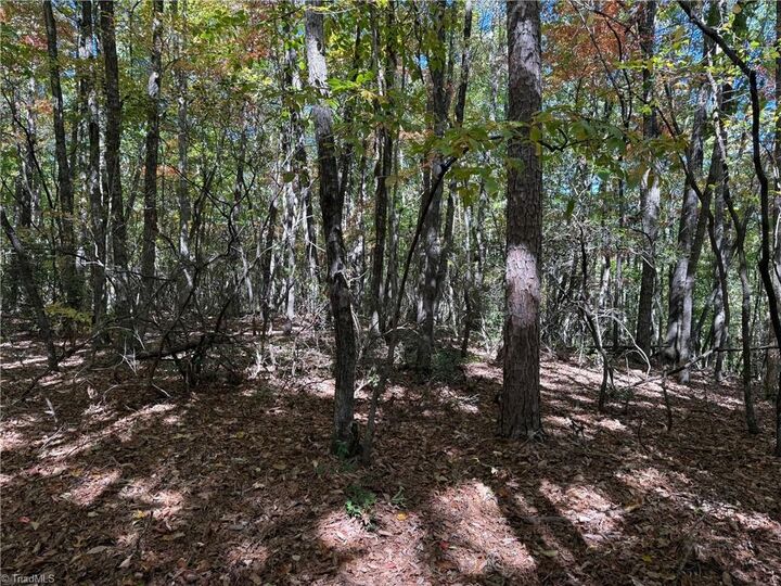 Property Photo: Tbd Royall Road NC 28683