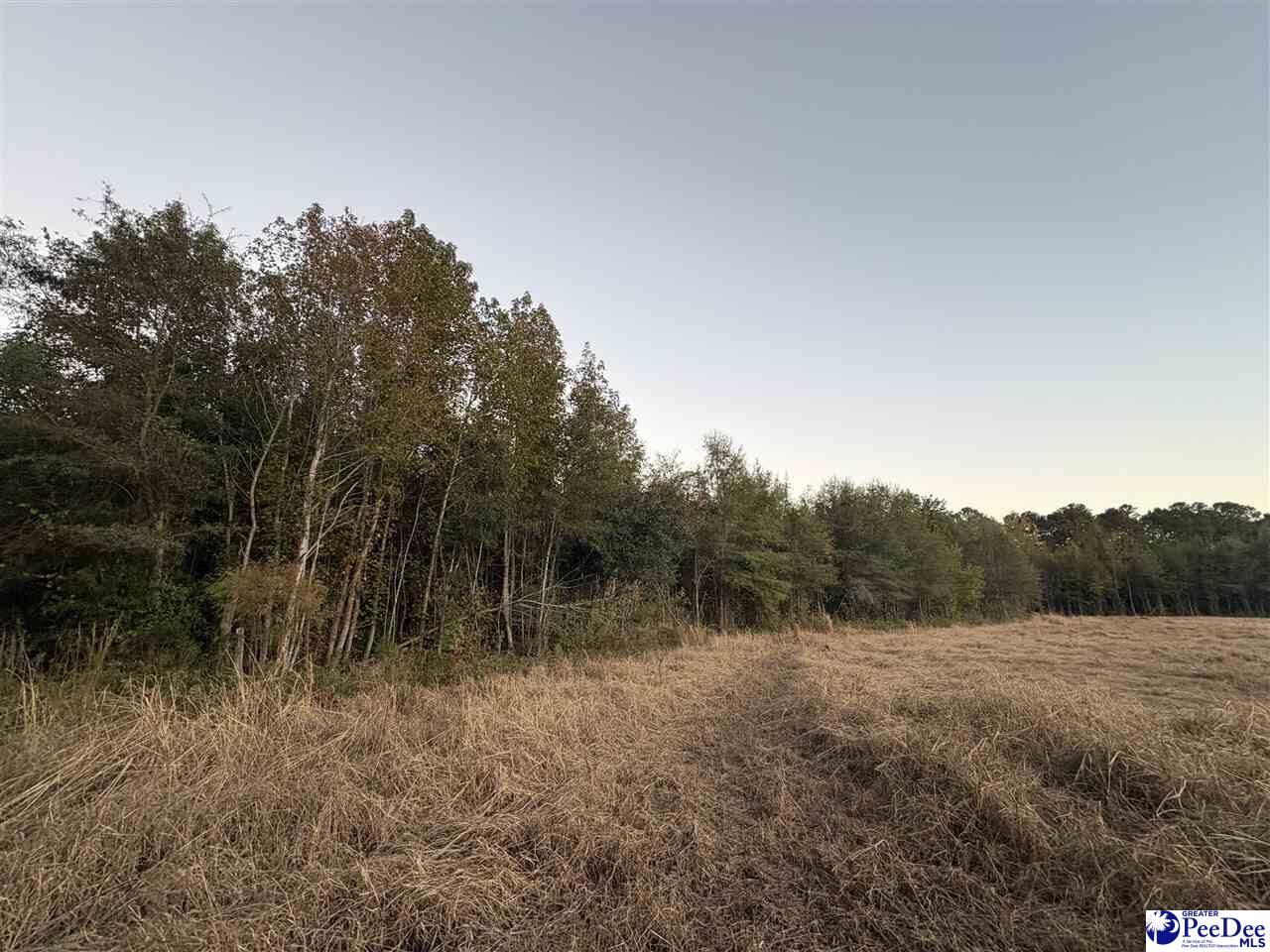 Property Photo:  Tbd Kelley Rd  SC 29114 