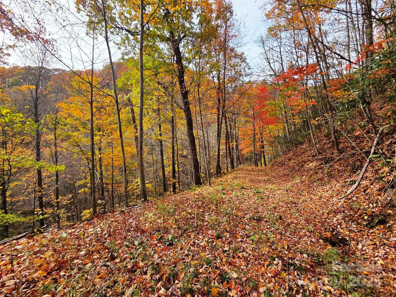 Property Photo:  355 Moonshineholler Drive  NC 28751 