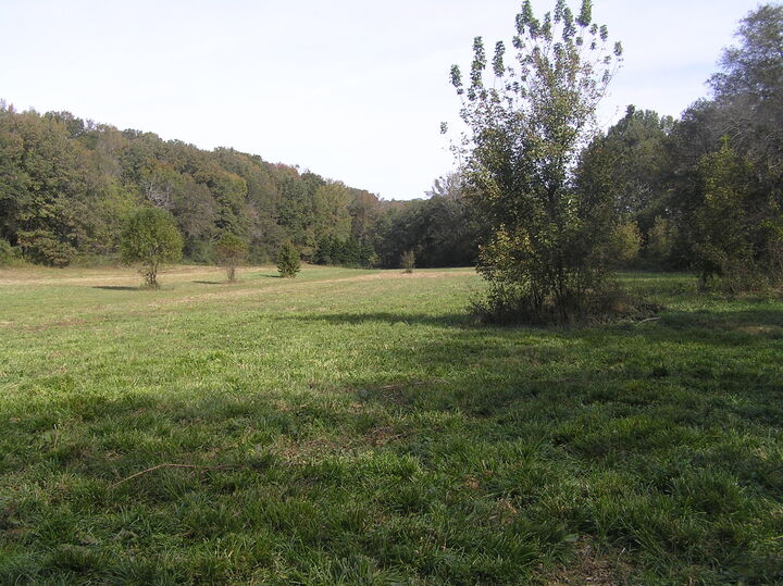 Property Photo:  975 S Magnolia Avenue S  TN 37397