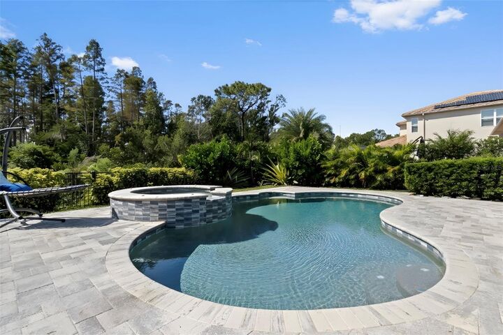 Property Photo:  30362 Ceasar Park Drive  FL 33543 