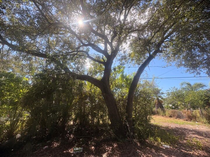 Property Photo:  2603 Goldwyn Drive  FL 33570