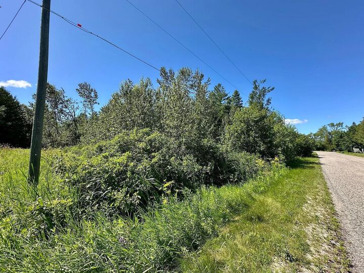 Property Photo:  14371 Stoney Pointe Road  MI 49721