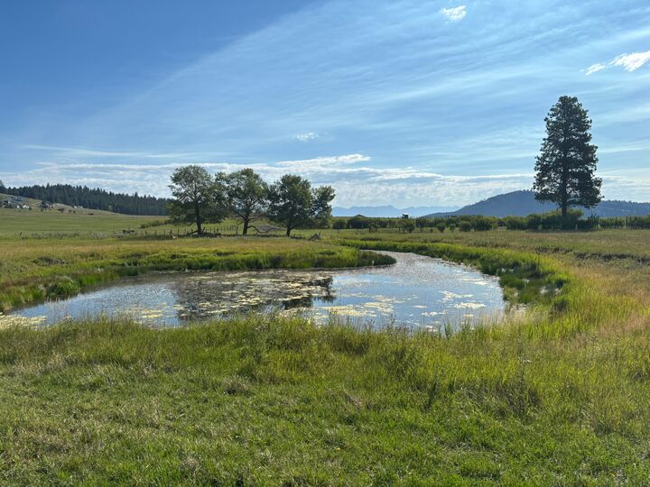 691 Morning View Drive  Kalispell MT 59901 photo