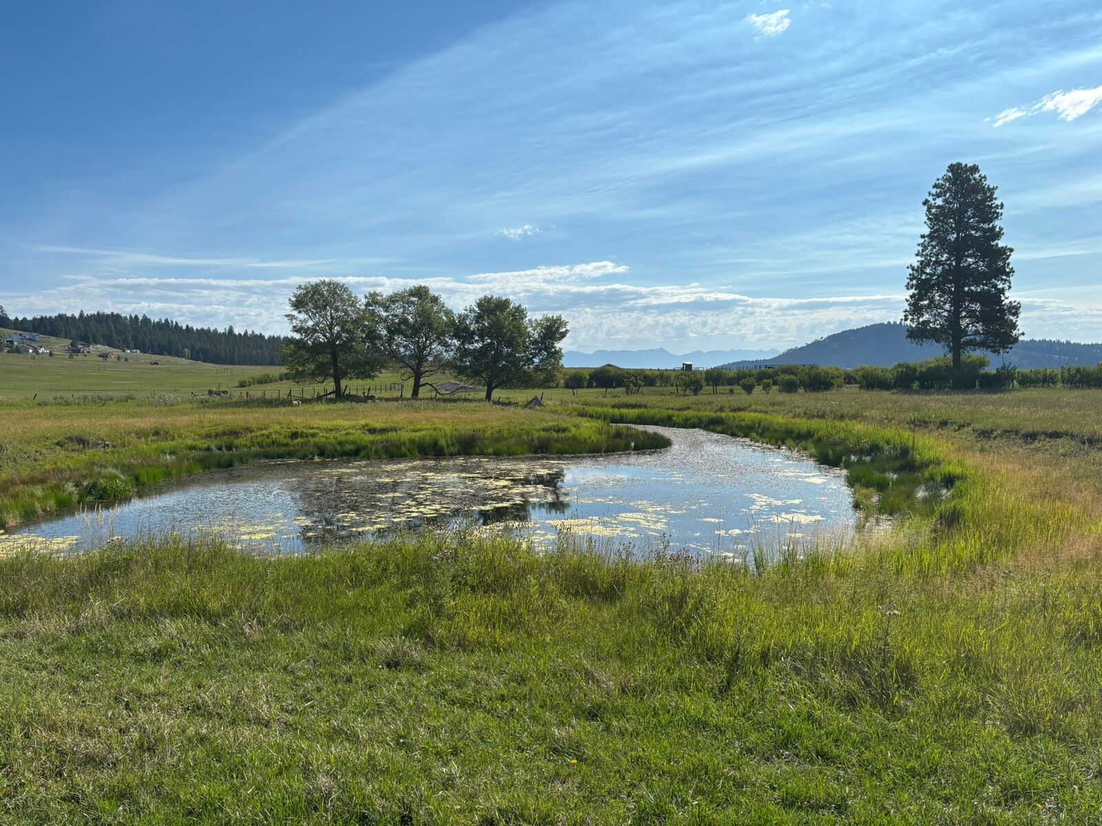 Property Photo:  691 Morning View Drive  MT 59901 