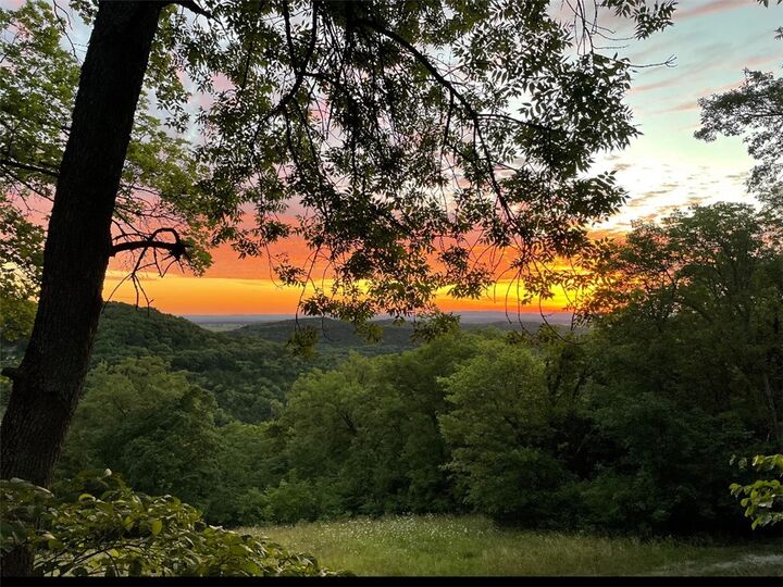 362 County Road 2462  Berryville AR 72616 photo