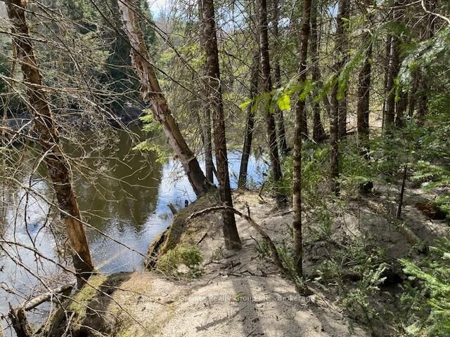 Property Photo:  0 County Road 503 N/A  ON K0M 2A1 