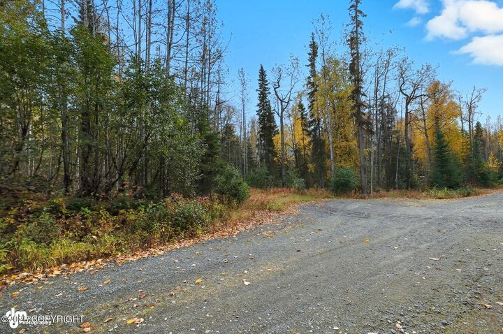 Property Photo: 000 Ansel Street AK 99669