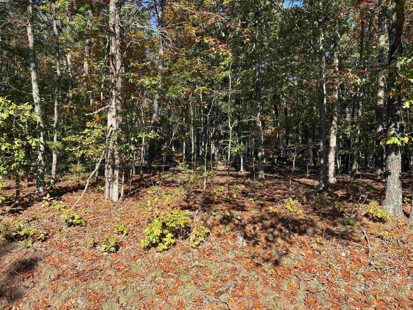 Property Photo: 00 Dunlop Road AR 72088