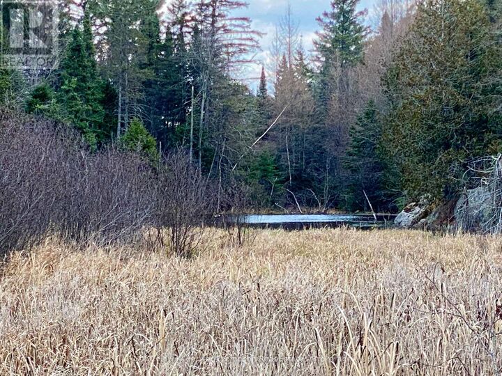 Photo de la propriété:  Lot 0-B Legrou'S Lake Road  ON P0H 1A0