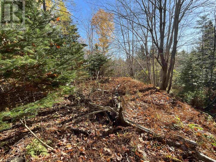 Property Photo:  Mosher Road  NS B0J 2L0 