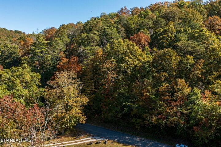Property Photo:  Strong Hollow Lane  TN 37769 