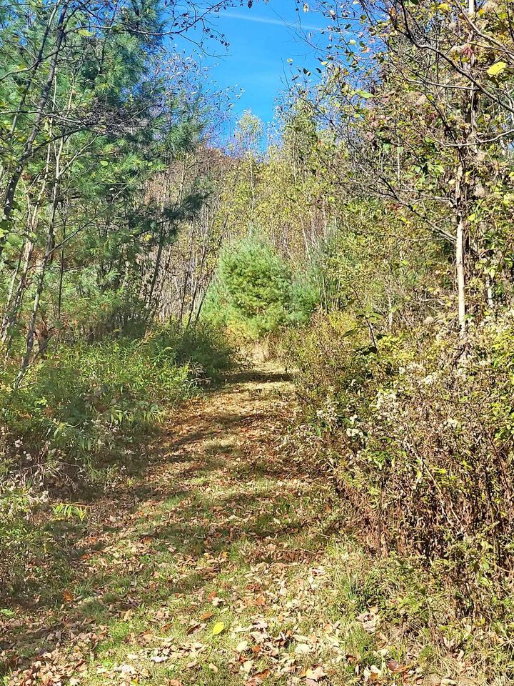 Property Photo: 00 Ruskin Road NH 03580