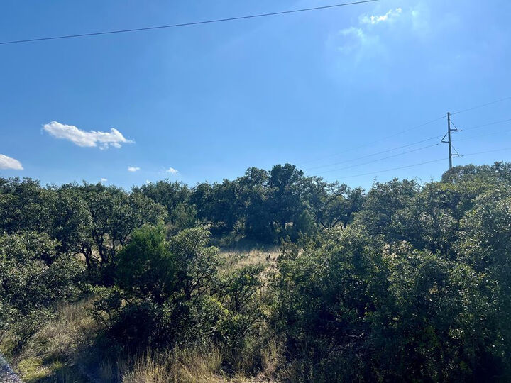 Property Photo:  4120 Majestic Oaks Drive  TX 76935 