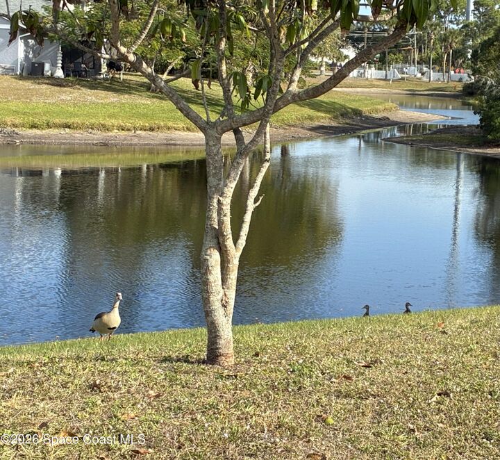 Property Photo:  949 Bimini Avenue  FL 32901 