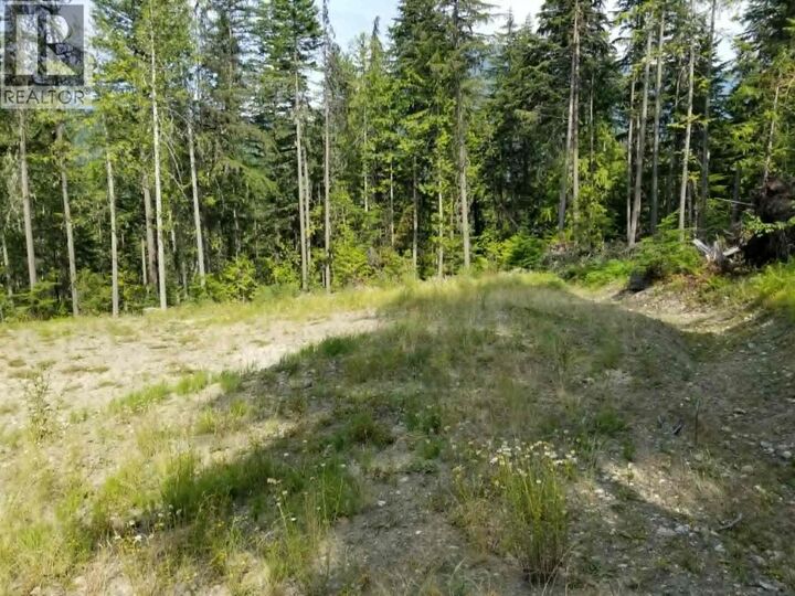 Property Photo:  Lot 1 Brouse Loop Road  BC V0G 1R1 