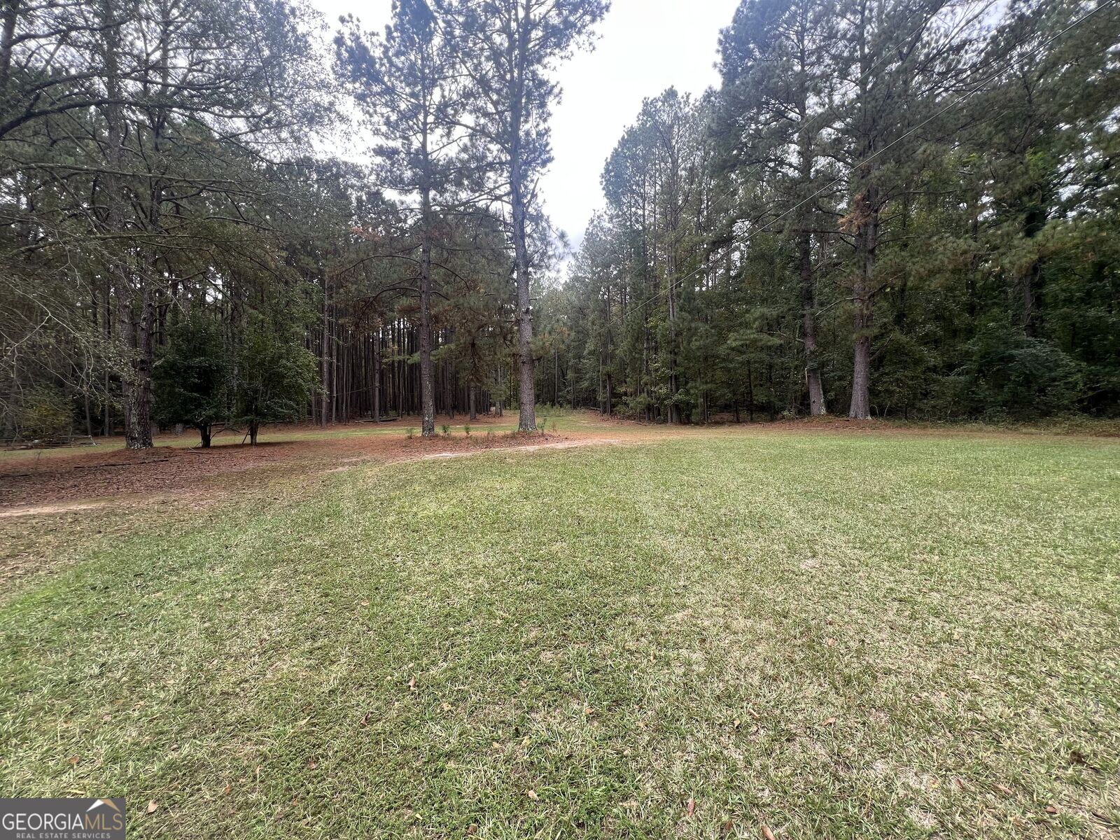 Property Photo:  10061 Macon Highway  GA 31045 