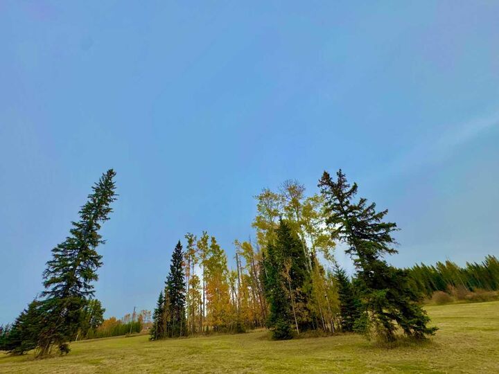 Property Photo: 316 Valley View Drive AB T4T 1A7