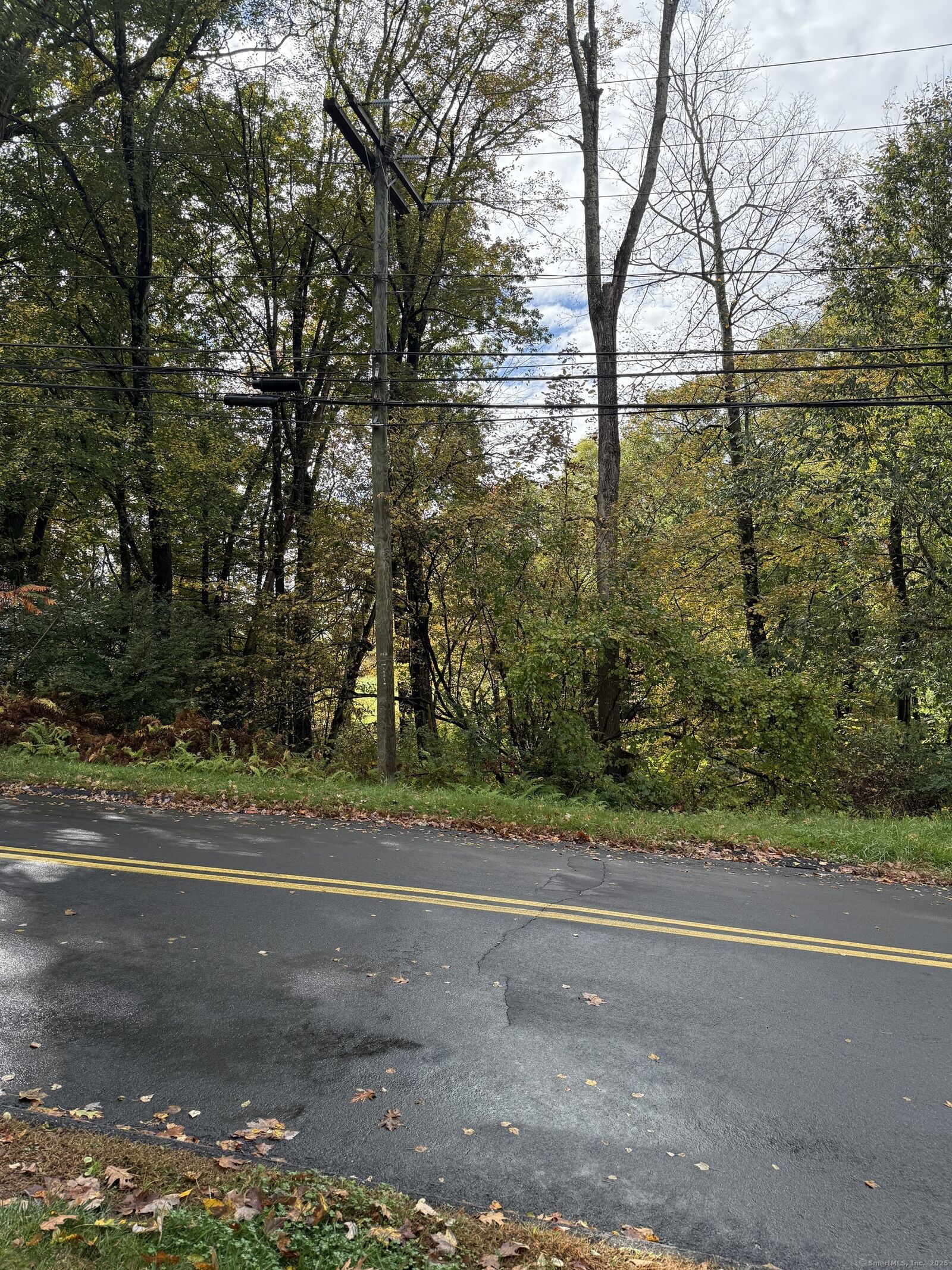 Property Photo:  Ellsworth Road  CT 06088