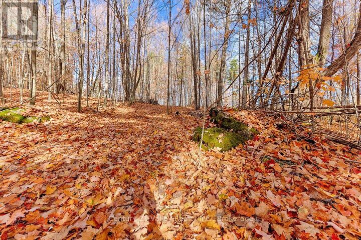 Property Photo:  0 Rocky Point Drive  ON K0J 1X0 